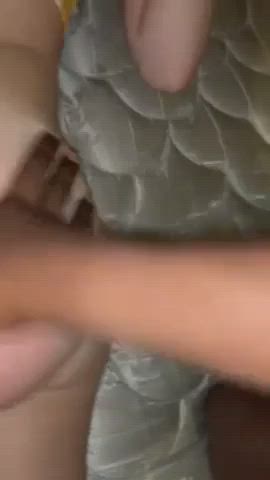 Sexy College Girl Taking BBC - free porn video