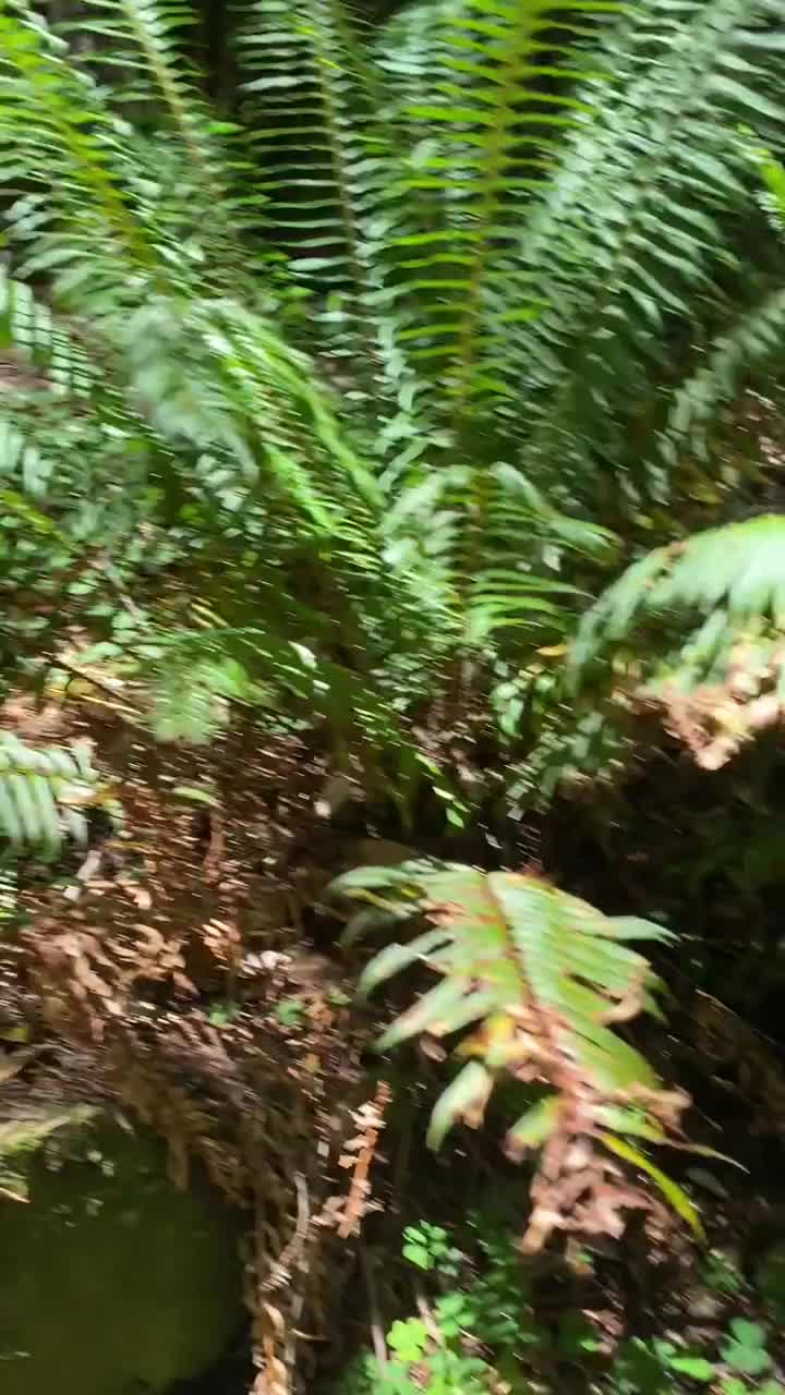 Fulfilled my hiking sex fantasy 😜 [GIF] - free porn video