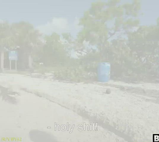 Rent An Island To Fuck - free porn video