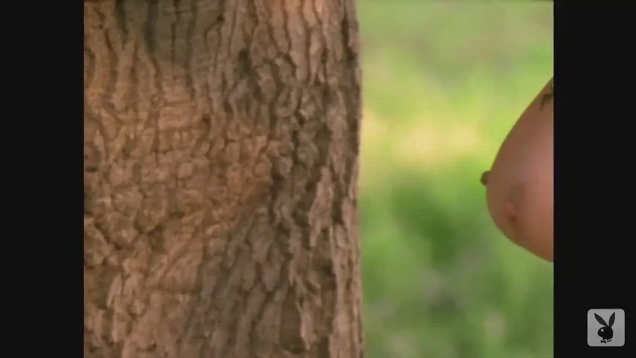 Playmate of the Month December 1989 - Petra Verkaik - free porn video