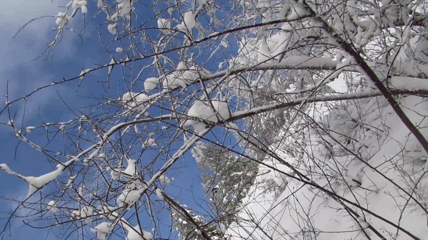 Snowy blowjob ❄️🥵 - free porn video
