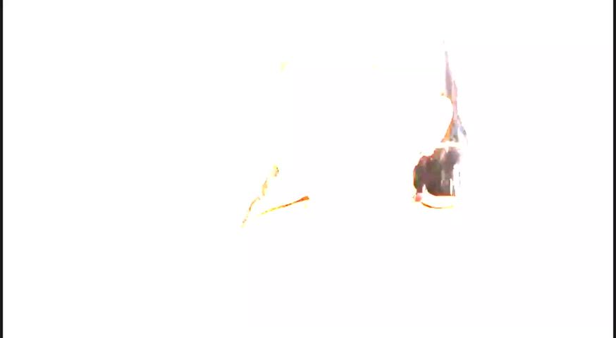 Payton Preslee Edit Pt 2 - free porn video