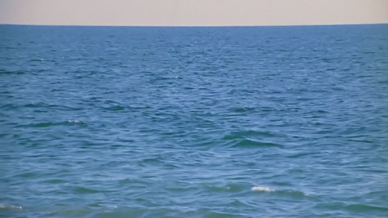 Pamela Anderson Crawling on a Beach - 1993 - free porn video