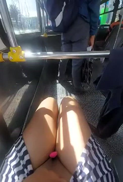 LIVE flash on the bus - free porn video